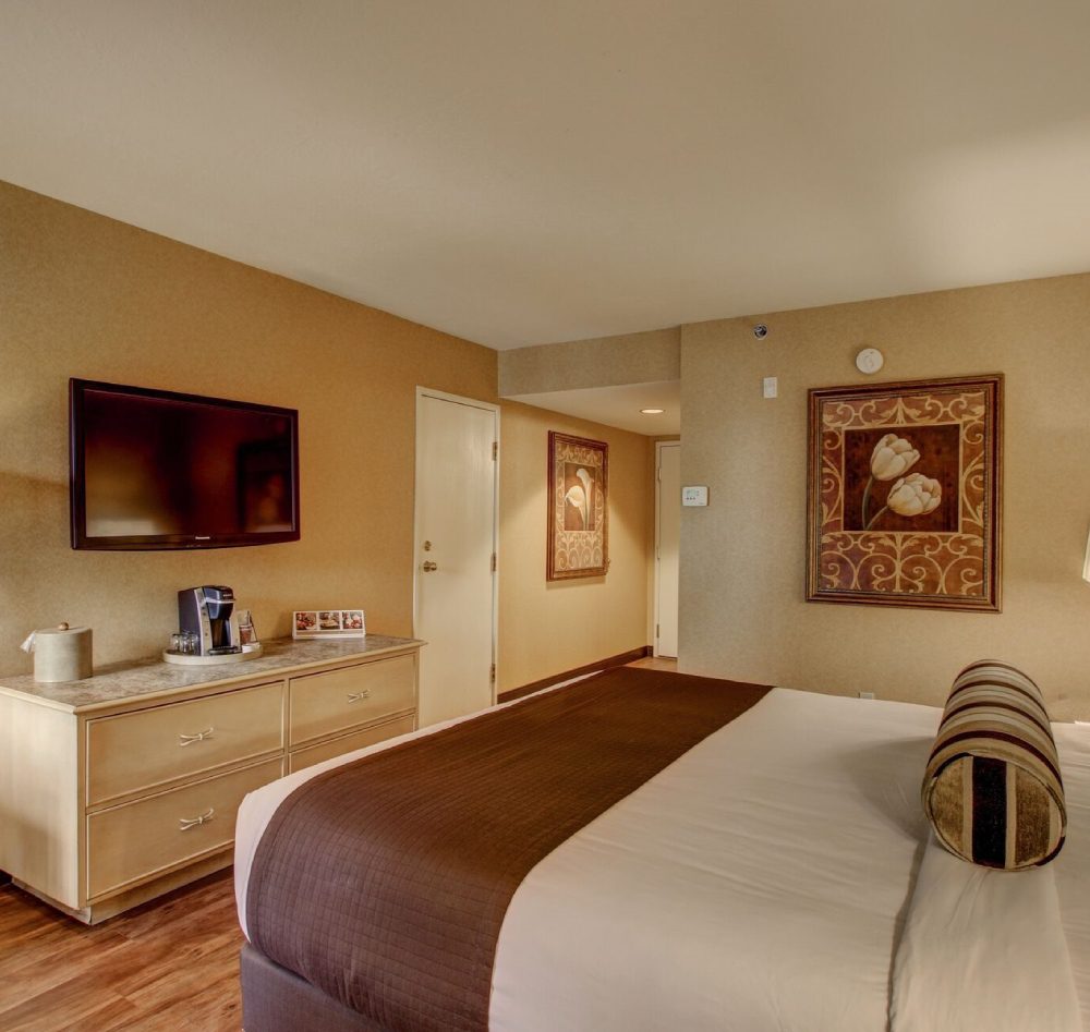 A bedroom with a bed, dresser and television.